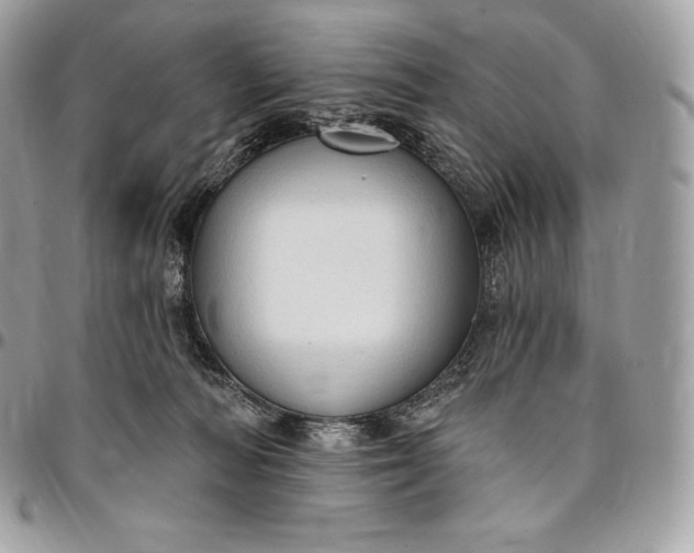 X0000095110226200712211328