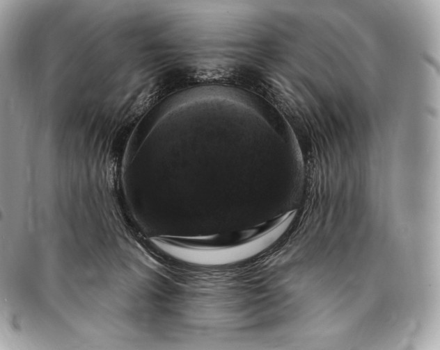 X0000095110227200712211328