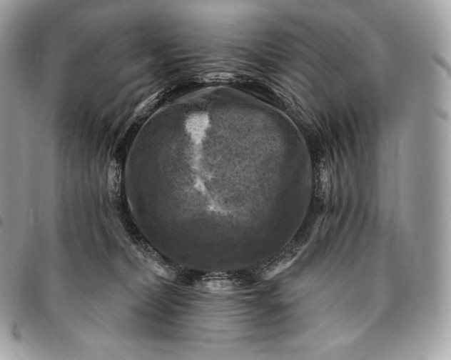 X0000095110228200712211328