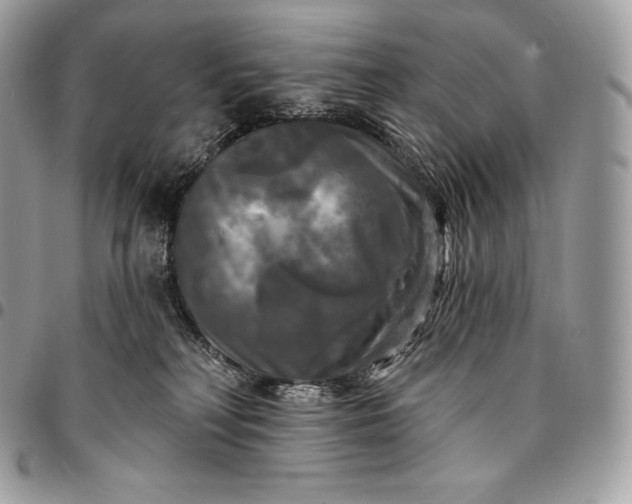 X0000095110230200712211328