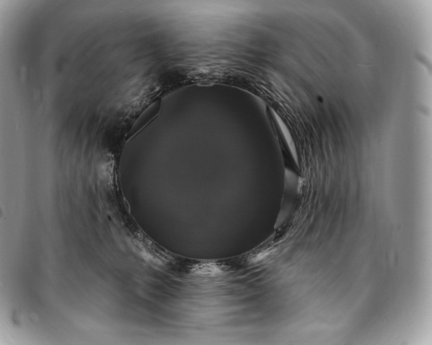 X0000095110231200712211328