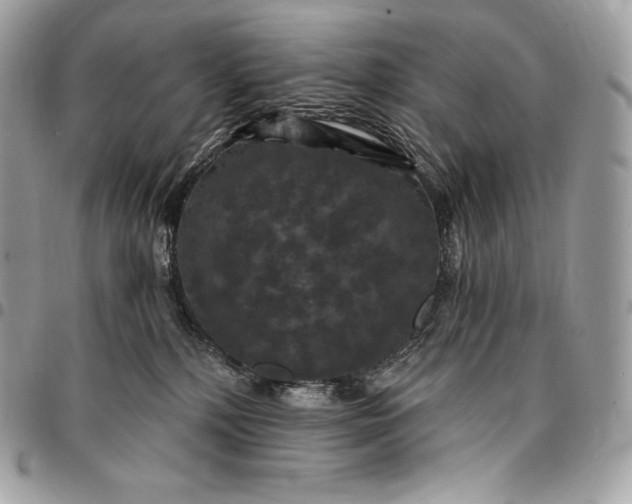 X0000095110232200712211328