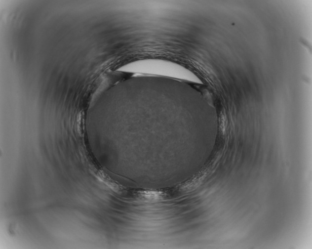 X0000095110233200712211328