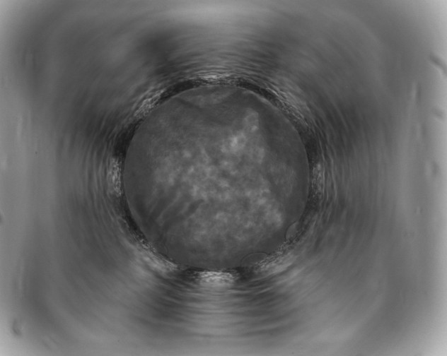 X0000095110234200712211328