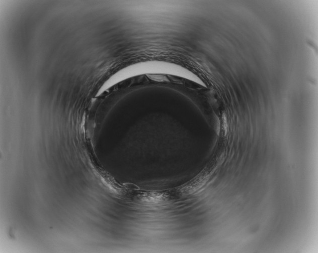 X0000095110235200712211328