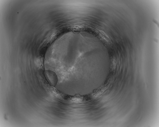 X0000095110236200712211328