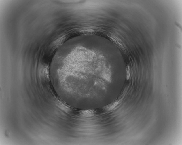 X0000095110238200712211327