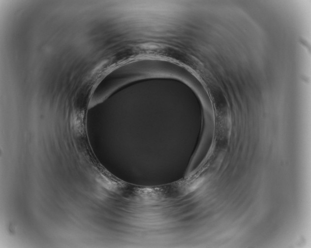 X0000095110239200712211327