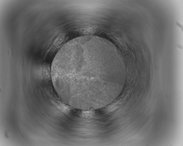 X0000095110240200712211327