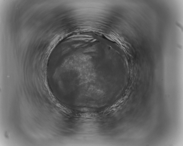 X0000095110241200712211327