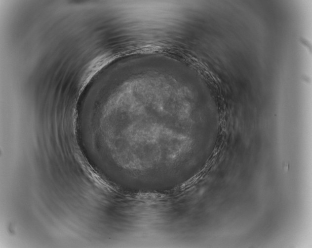 X0000095110242200712211327