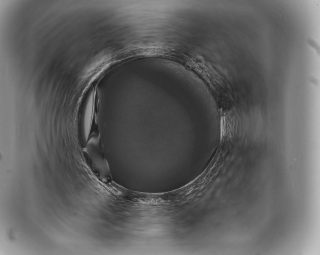 X0000095110243200712211327