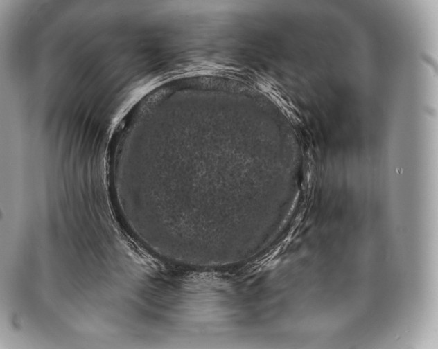 X0000095110244200712211327