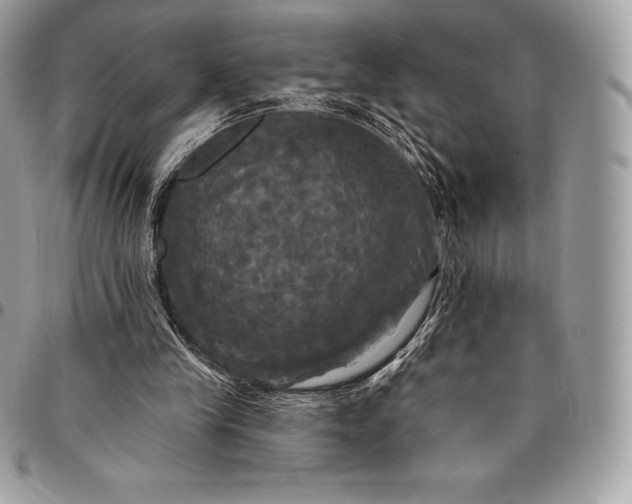 X0000095110245200712211327