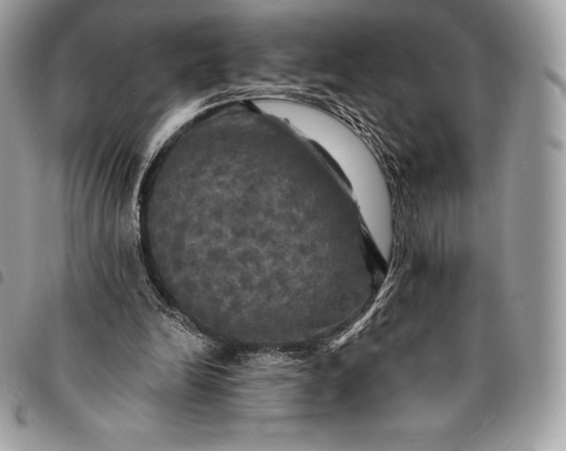 X0000095110246200712211327