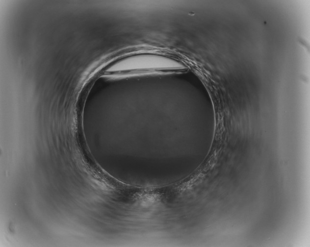 X0000095110247200712211327