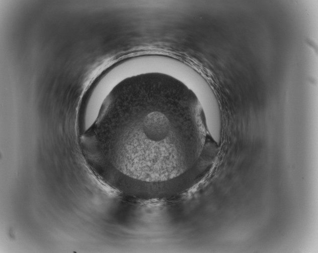 X0000095110248200712211327