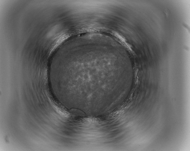 X0000095110250200712211327