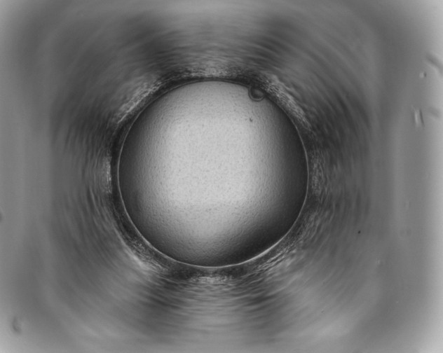 X0000095110251200712211327