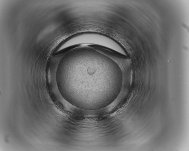 X0000095110252200712211327