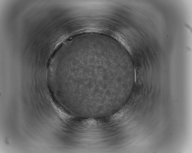 X0000095110253200712211327