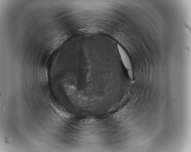 X0000095110254200712211327