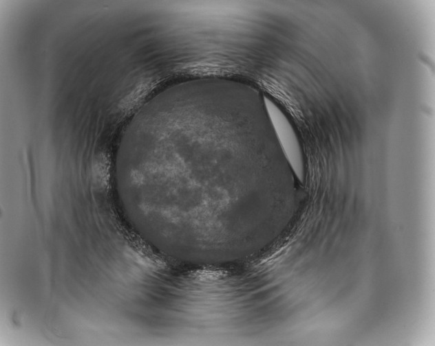 X0000095110255200712211327