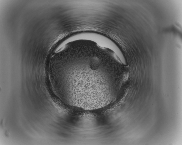 X0000095110256200712211327