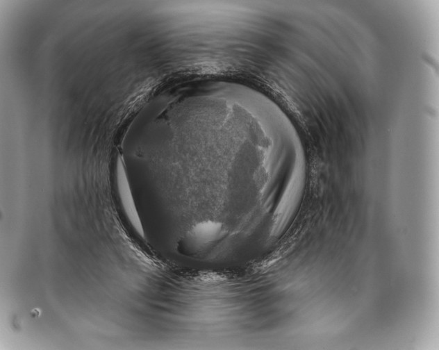 X0000095110257200712211327