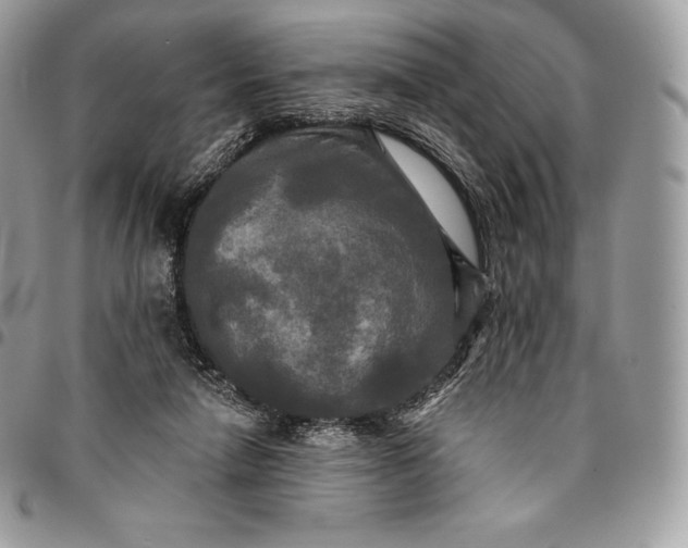 X0000095110258200712211327