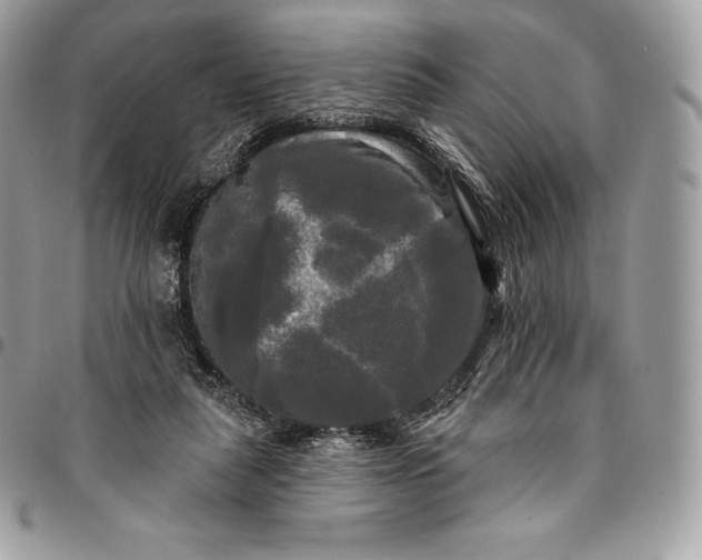 X0000095110259200712211327