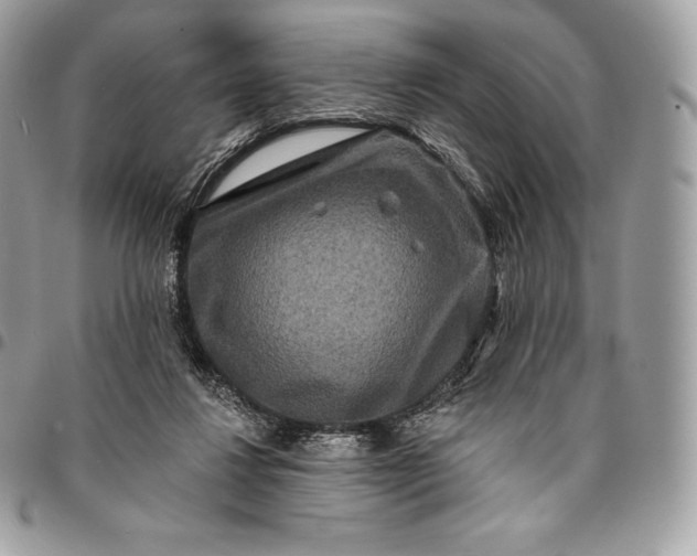 X0000095110260200712211327