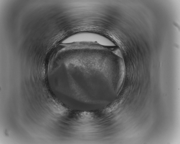 X0000095110261200712211327