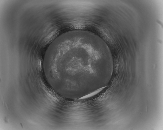 X0000095110262200712211327