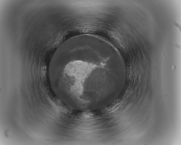 X0000095110263200712211327