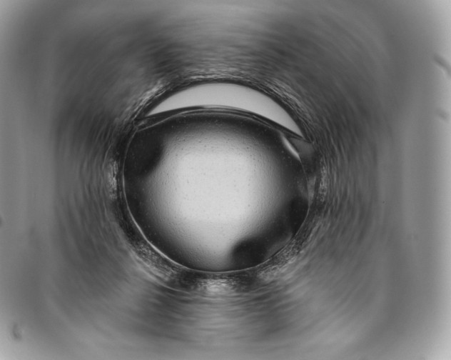 X0000095110264200712211327