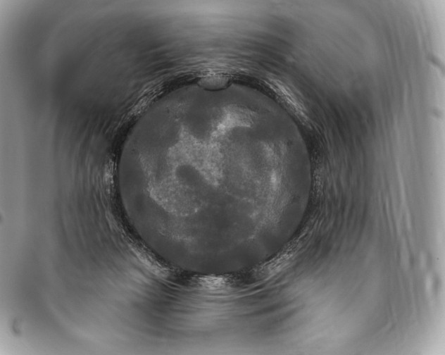 X0000095110265200712211327