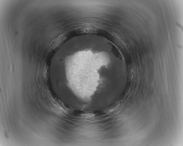 X0000095110266200712211327