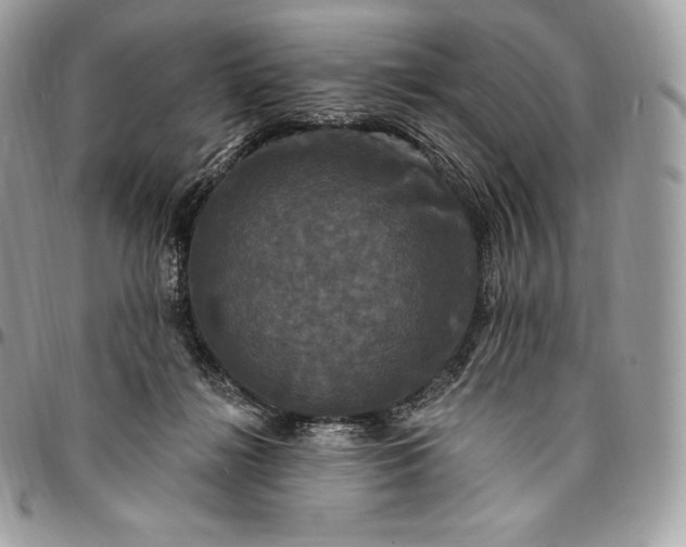 X0000095110268200712211327