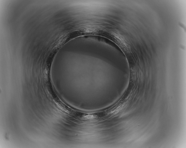 X0000095110269200712211327