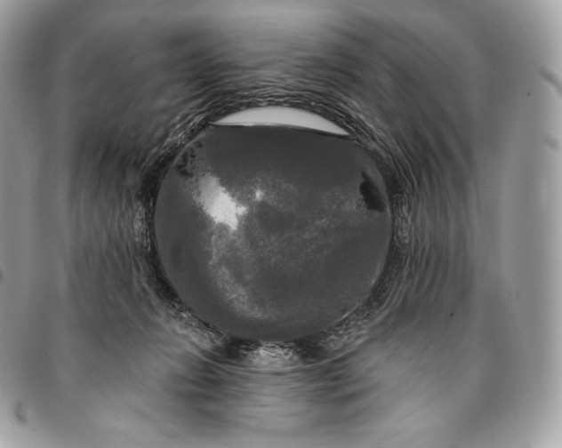 X0000095110270200712211327