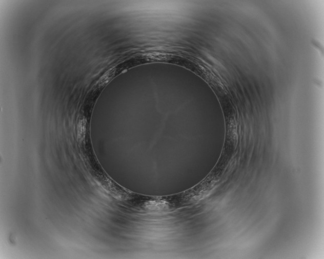 X0000095110271200712211327