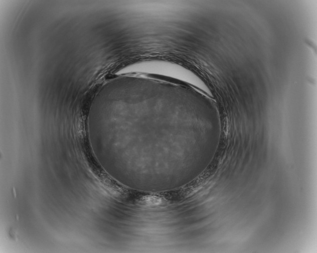 X0000095110272200712211327