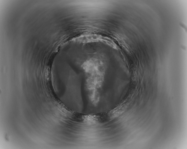 X0000095110273200712211327