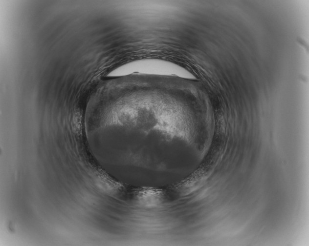 X0000095110274200712211327