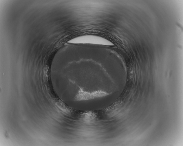 X0000095110275200712211327