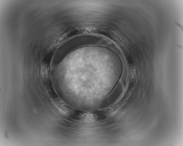 X0000095110276200712211327