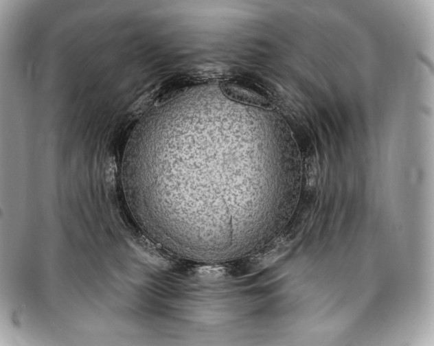 X0000095110279200712211327