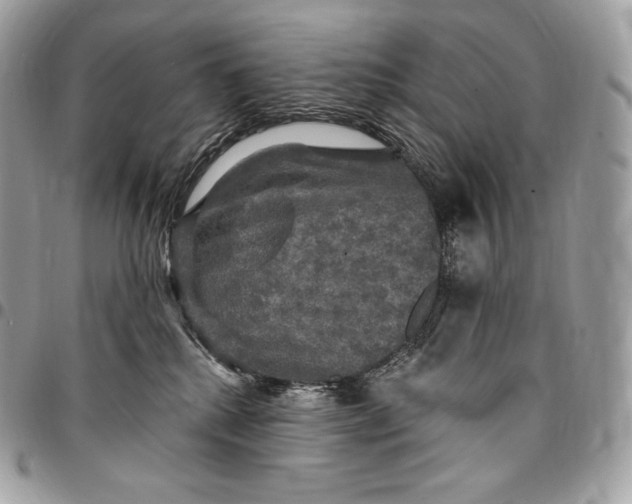 X0000095110280200712211327