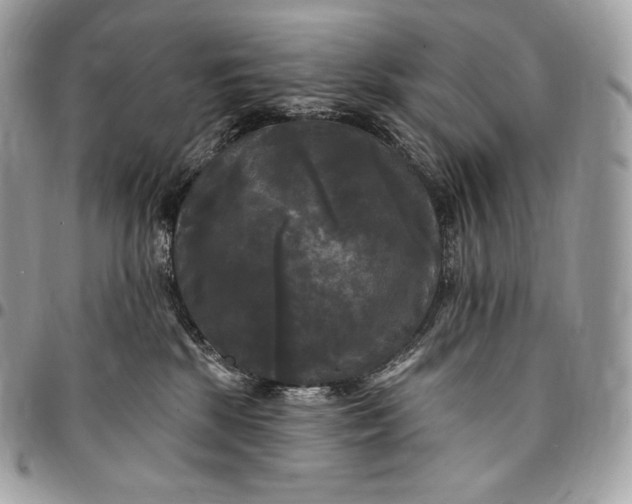 X0000095110281200712211327